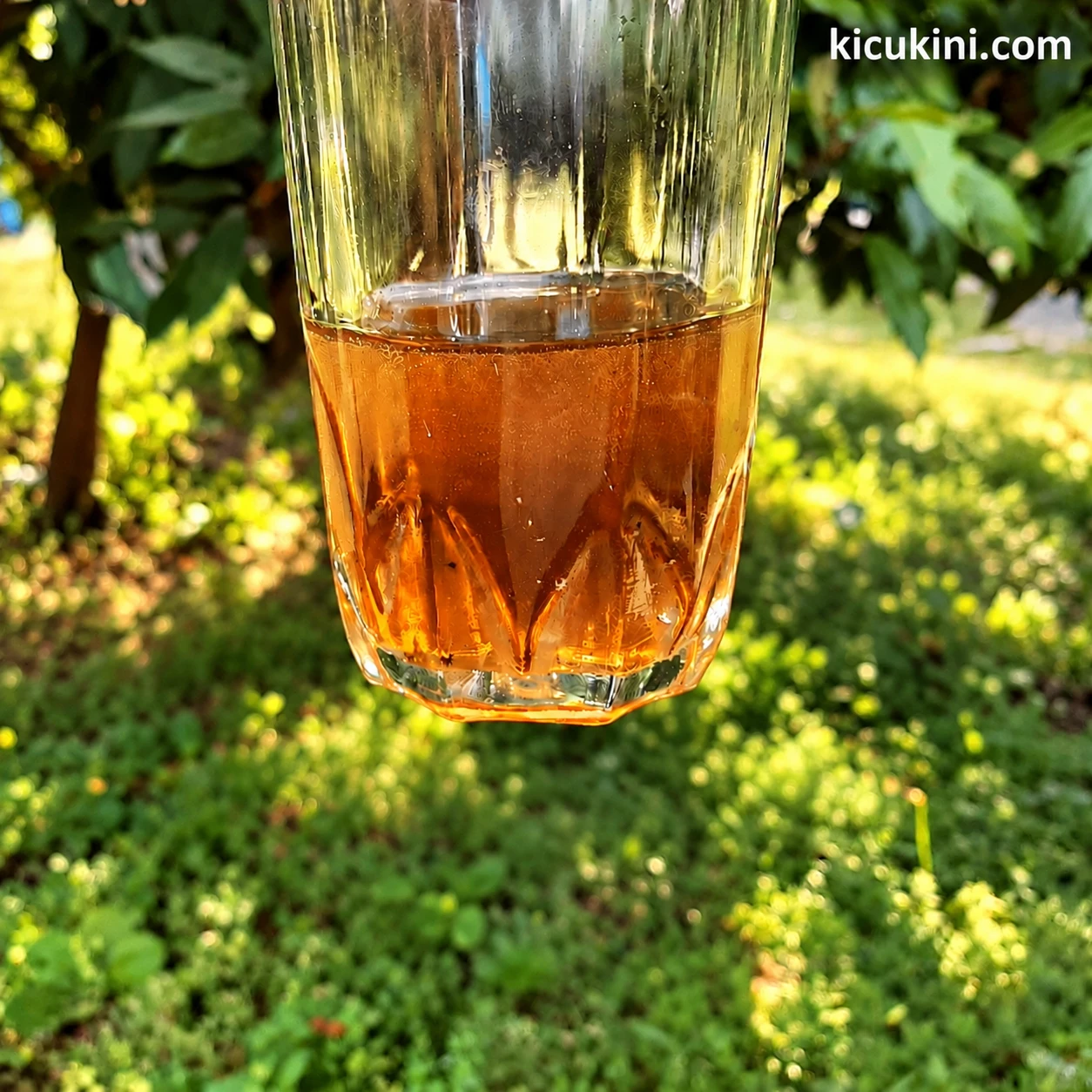 বরই ফুলের প্রাকৃতিক মধু (Natural Jujube Flower Honey)